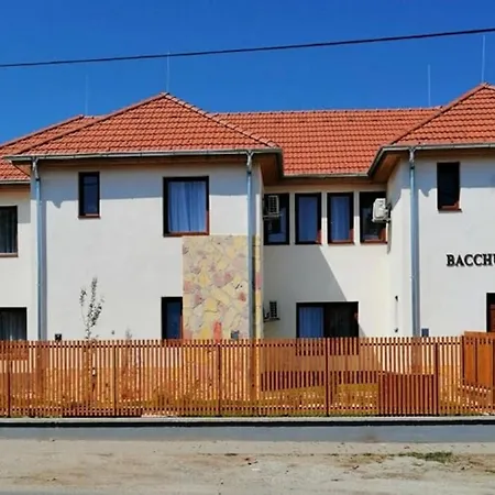Bacchus Vendeghaz